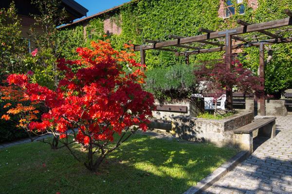 Foresteria Valdese Torre Pellice Bagian luar foto